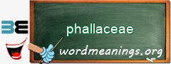 WordMeaning blackboard for phallaceae